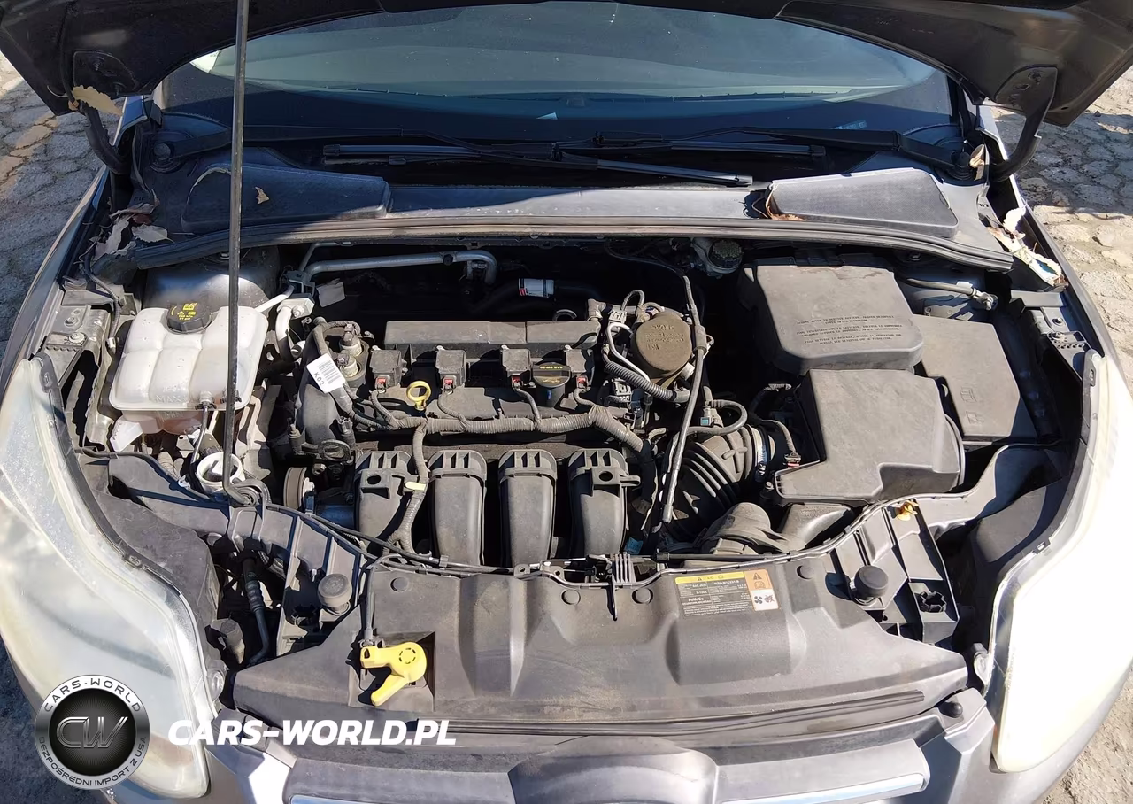 2013 Ford Focus Se VIN:1FADP3F25DL263957 - 10