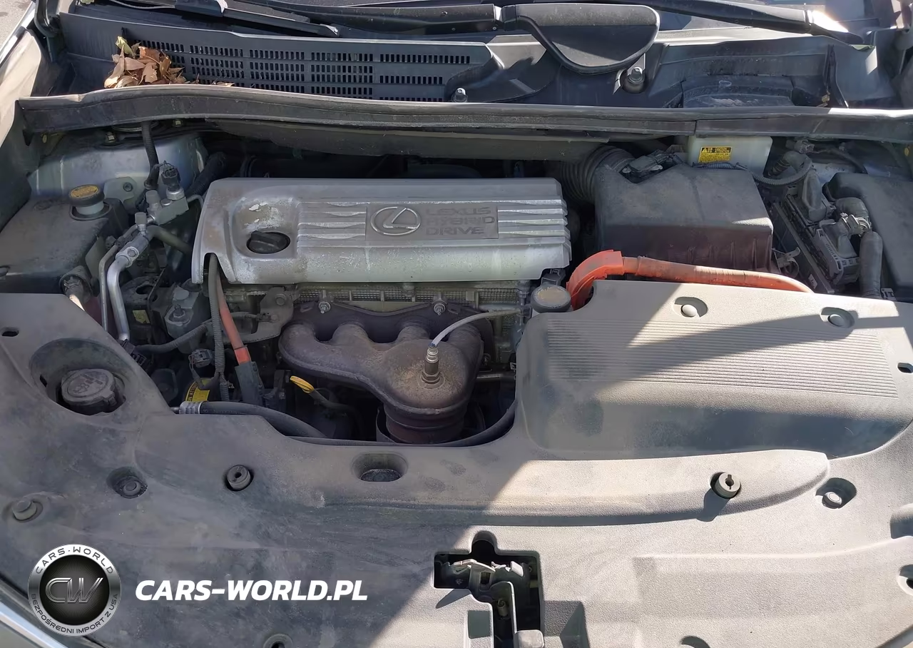 2010 Lexus Hs 250H Premium VIN:JTHBB1BA7A2002542 - 10
