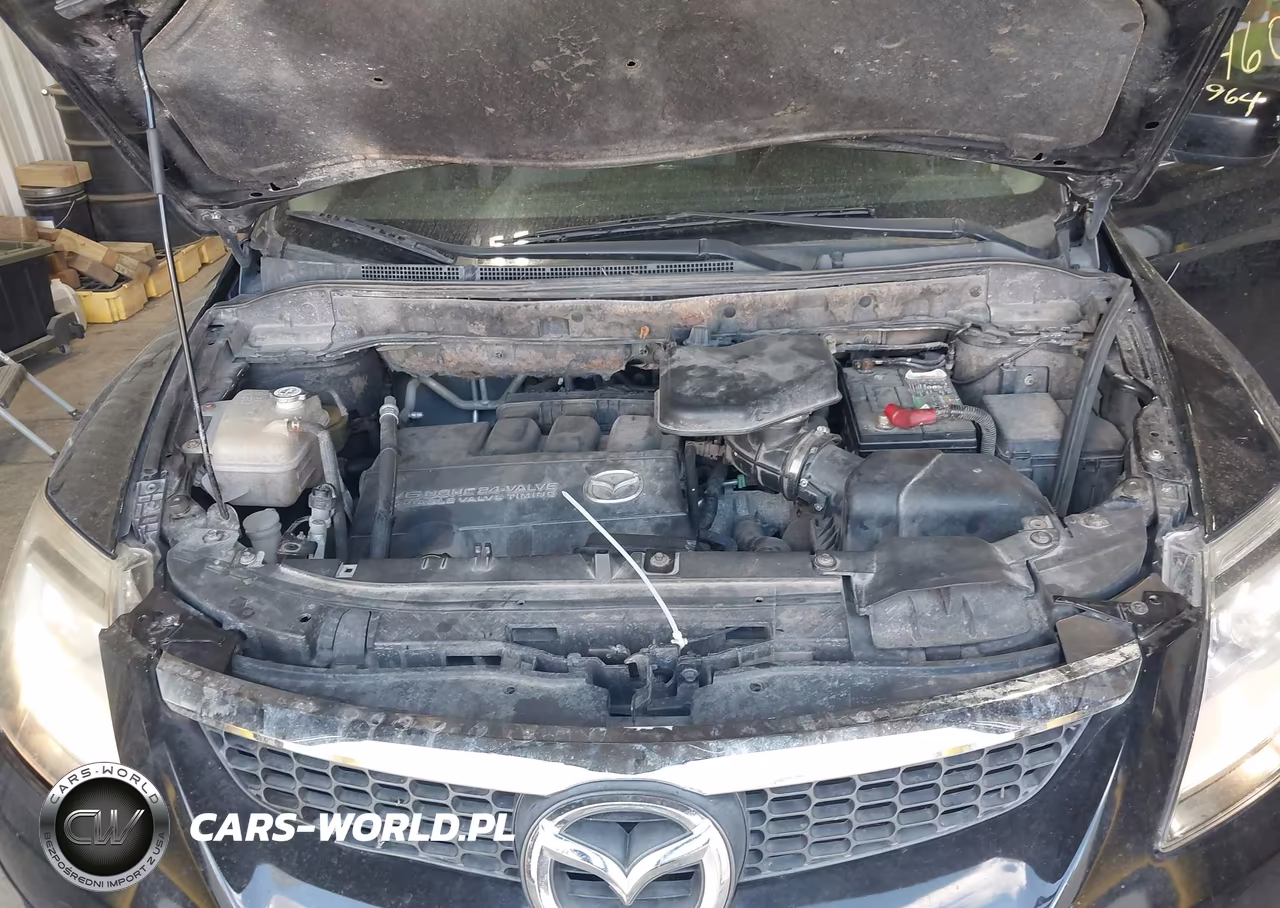 2009 Mazda Cx-9 Touring VIN:JM3TB28A390165559 - 10