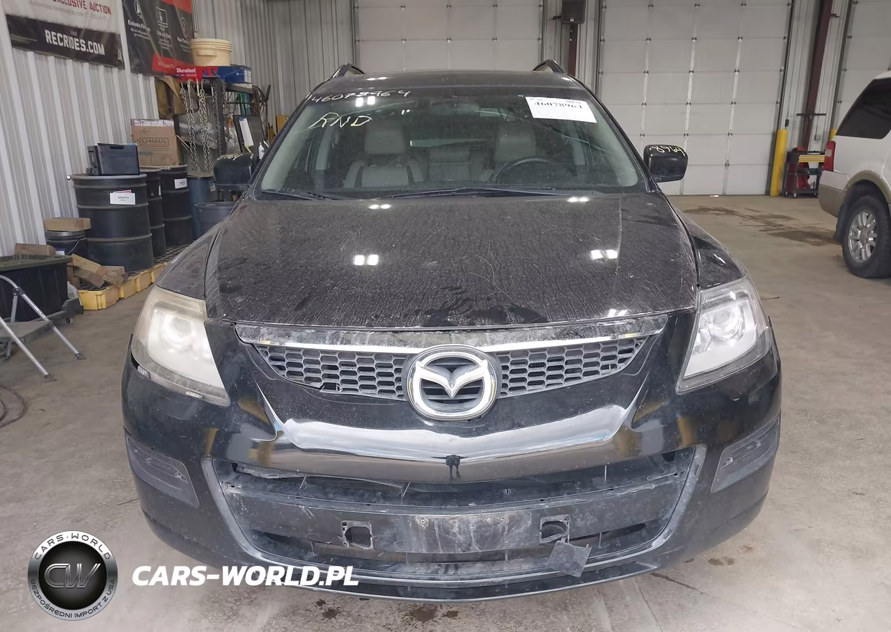 2009 Mazda Cx-9 Touring VIN:JM3TB28A390165559 - 12