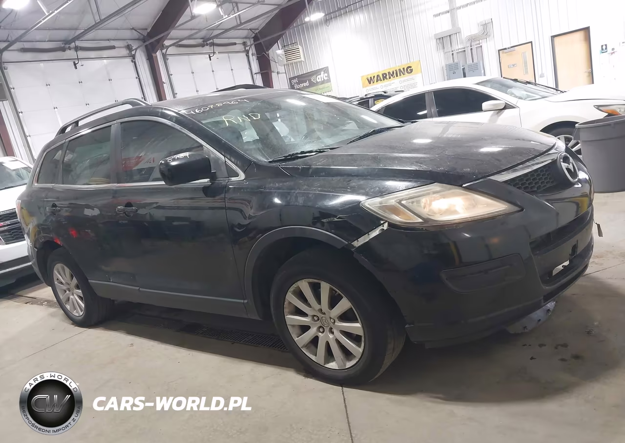2009 Mazda Cx-9 Touring VIN:JM3TB28A390165559 - 13