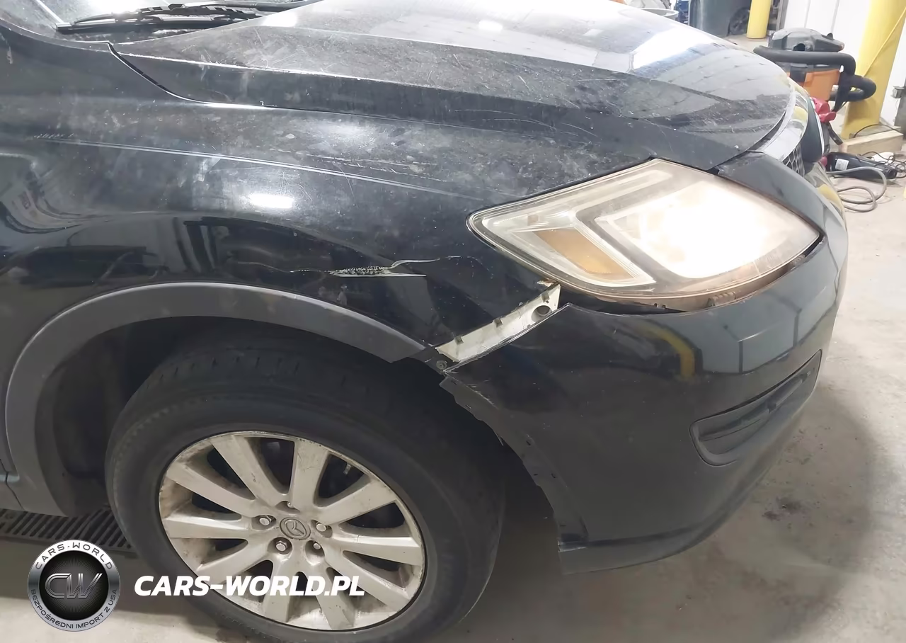 2009 Mazda Cx-9 Touring VIN:JM3TB28A390165559 - 17