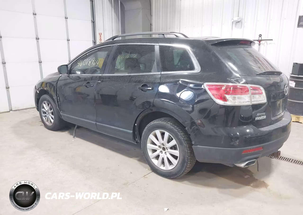 2009 Mazda Cx-9 Touring VIN:JM3TB28A390165559 - 3