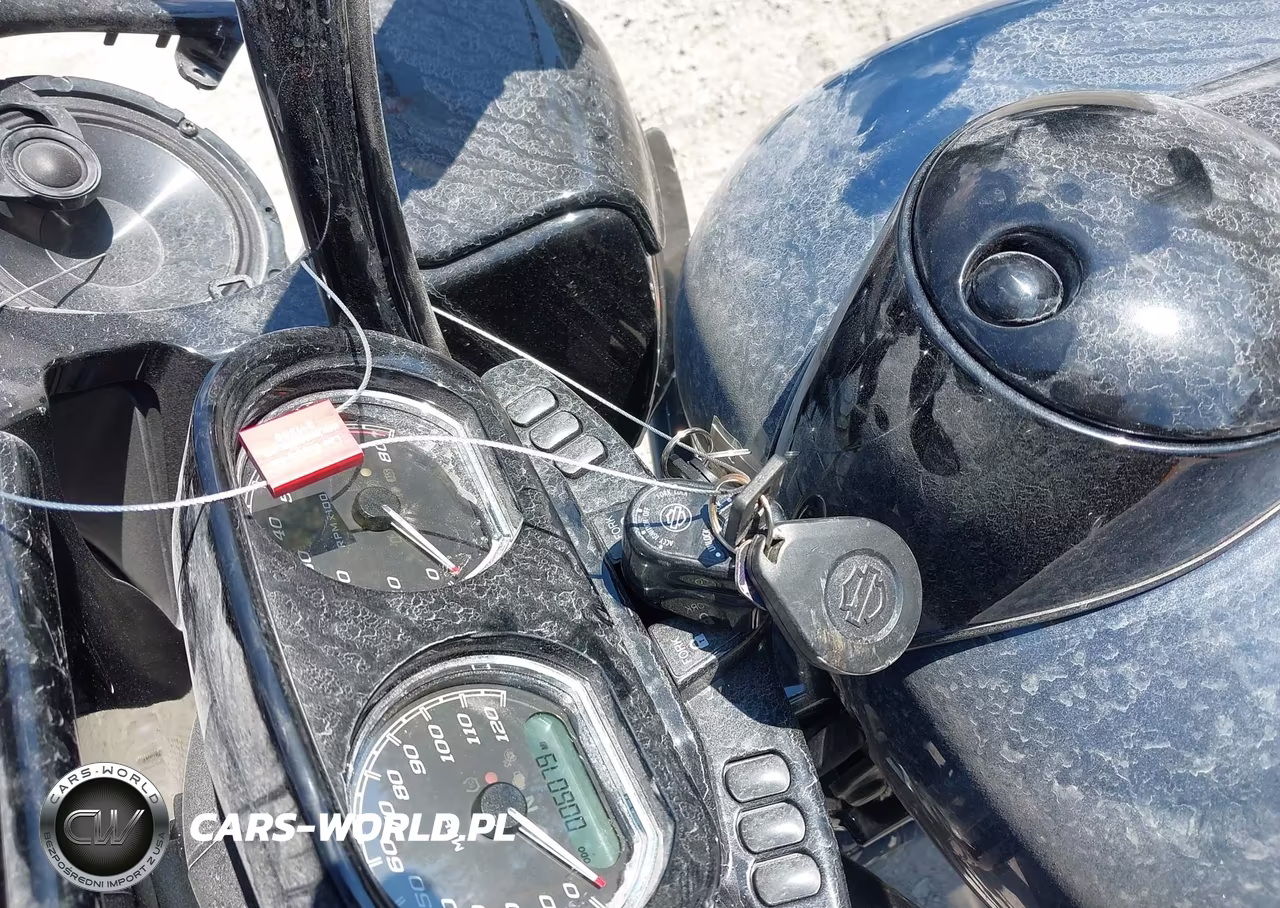 2019 Harley-Davidson Fltrxs VIN:1HD1KTP1XKB612310 - 11
