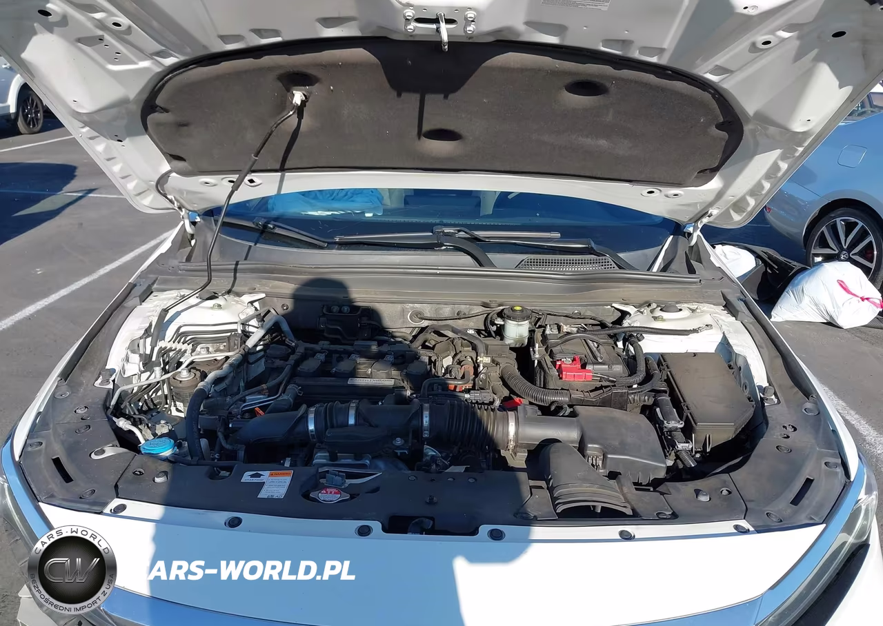 2019 Honda Accord Lx VIN:1HGCV1F1XKA134842 - 10
