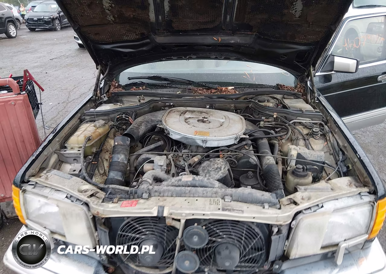 1991 Mercedes-Benz 560 Sel VIN:WDBCA39E7MA572692 - 10