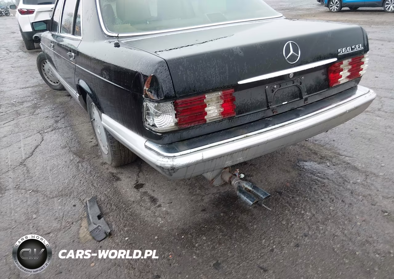 1991 Mercedes-Benz 560 Sel VIN:WDBCA39E7MA572692 - 6