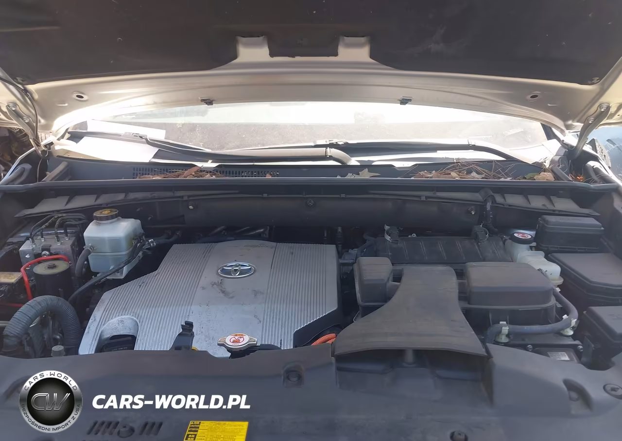 2019 Toyota Highlander Hybrid Xle VIN:5TDJGRFH3KS066897 - 10