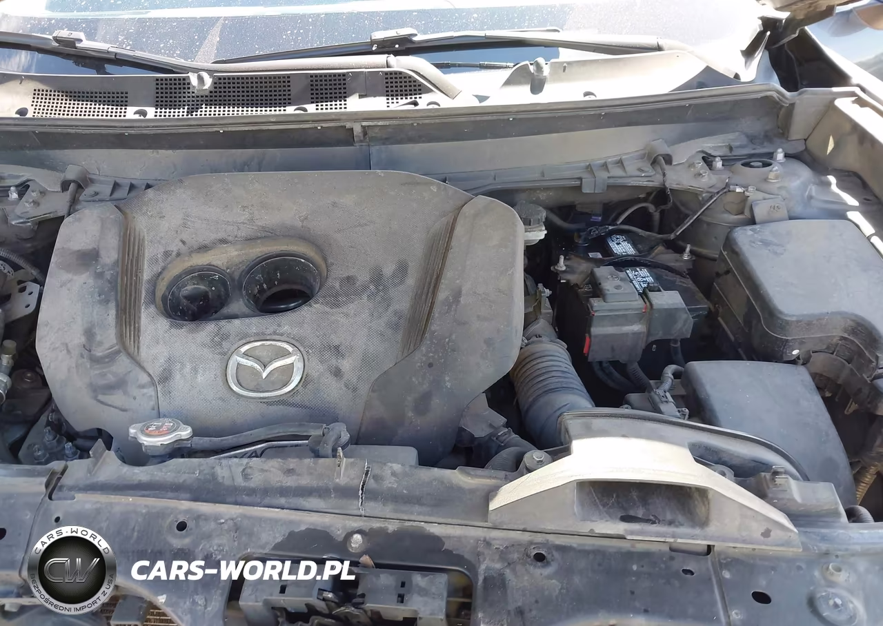 2018 Mazda Cx-9 Sport VIN:JM3TCBBY4J0217692 - 10