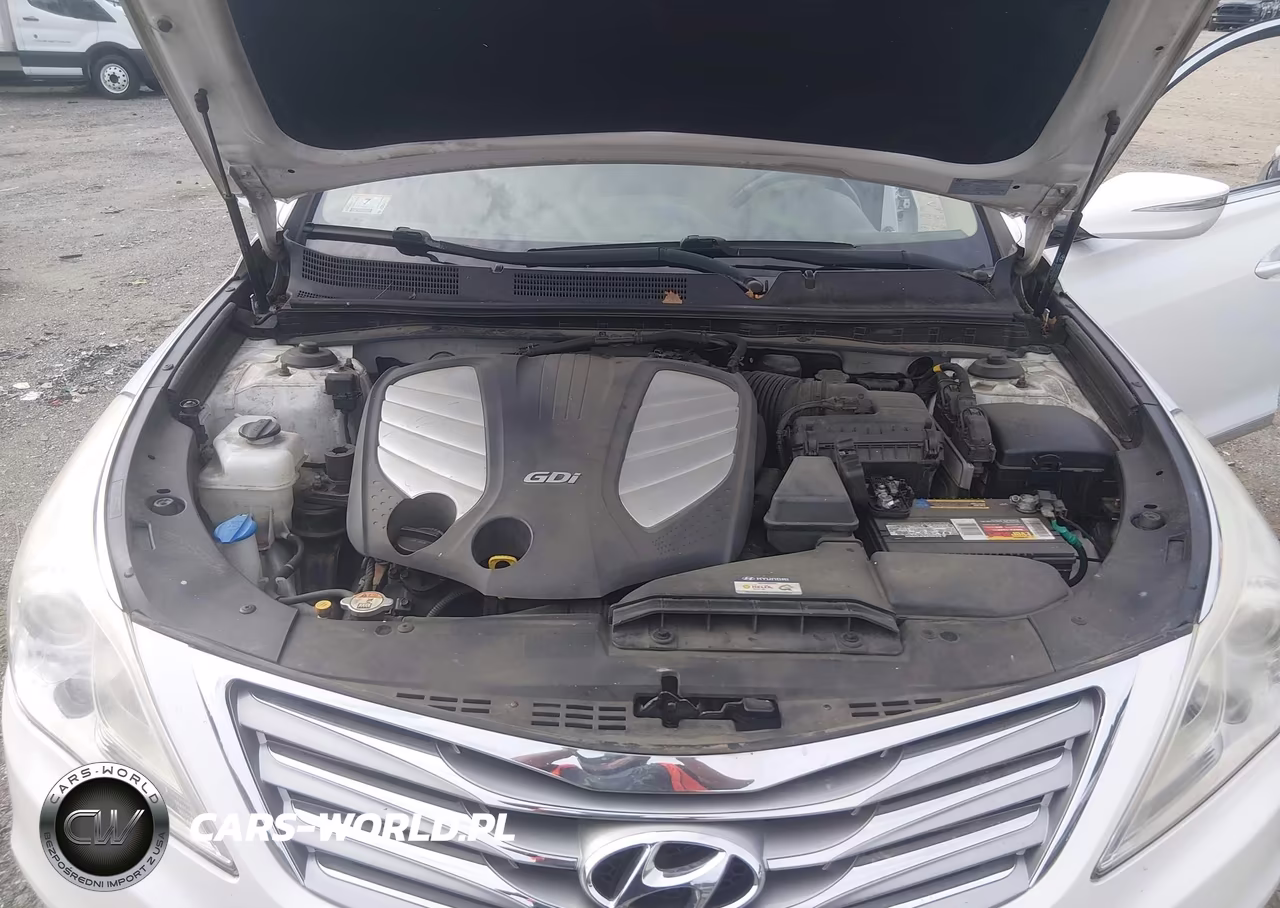 2013 Hyundai Azera VIN:KMHFH4JG3DA198221 - 10
