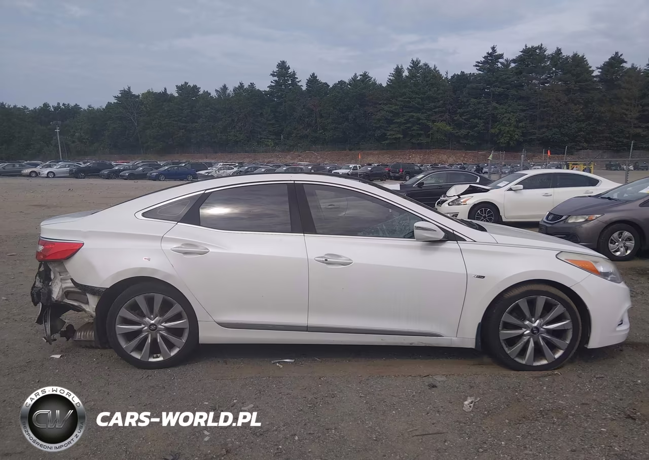2013 Hyundai Azera VIN:KMHFH4JG3DA198221 - 13