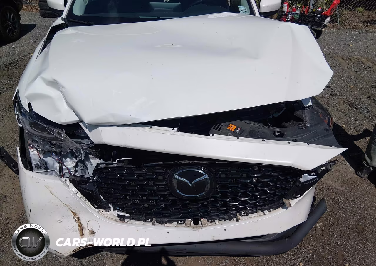 2022 Mazda Cx-5 2.5 S Premium VIN:JM3KFBDM5N0635956 - 10