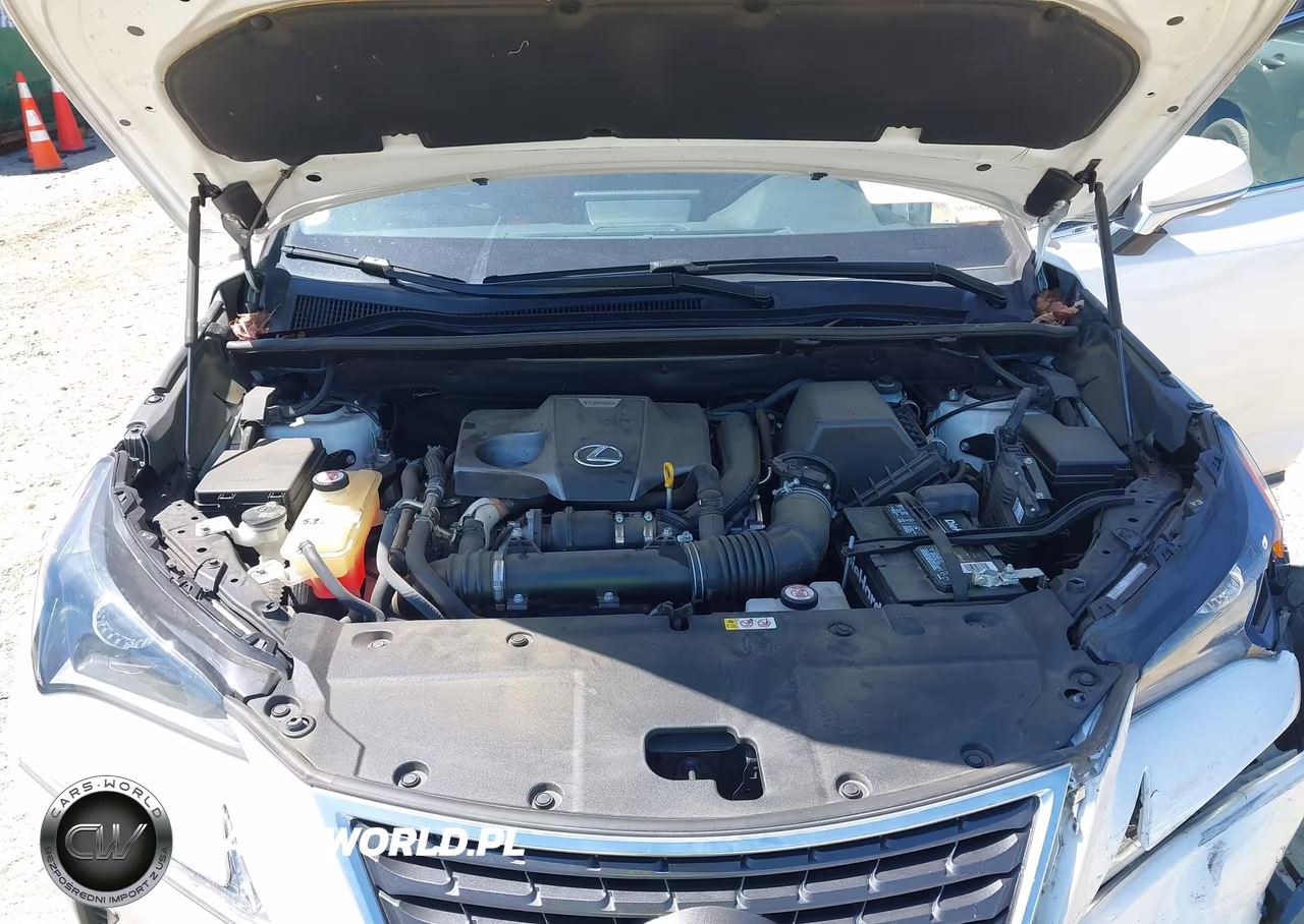 2019 Lexus Nx 300 VIN:JTJYARBZ2K2145318 - 10