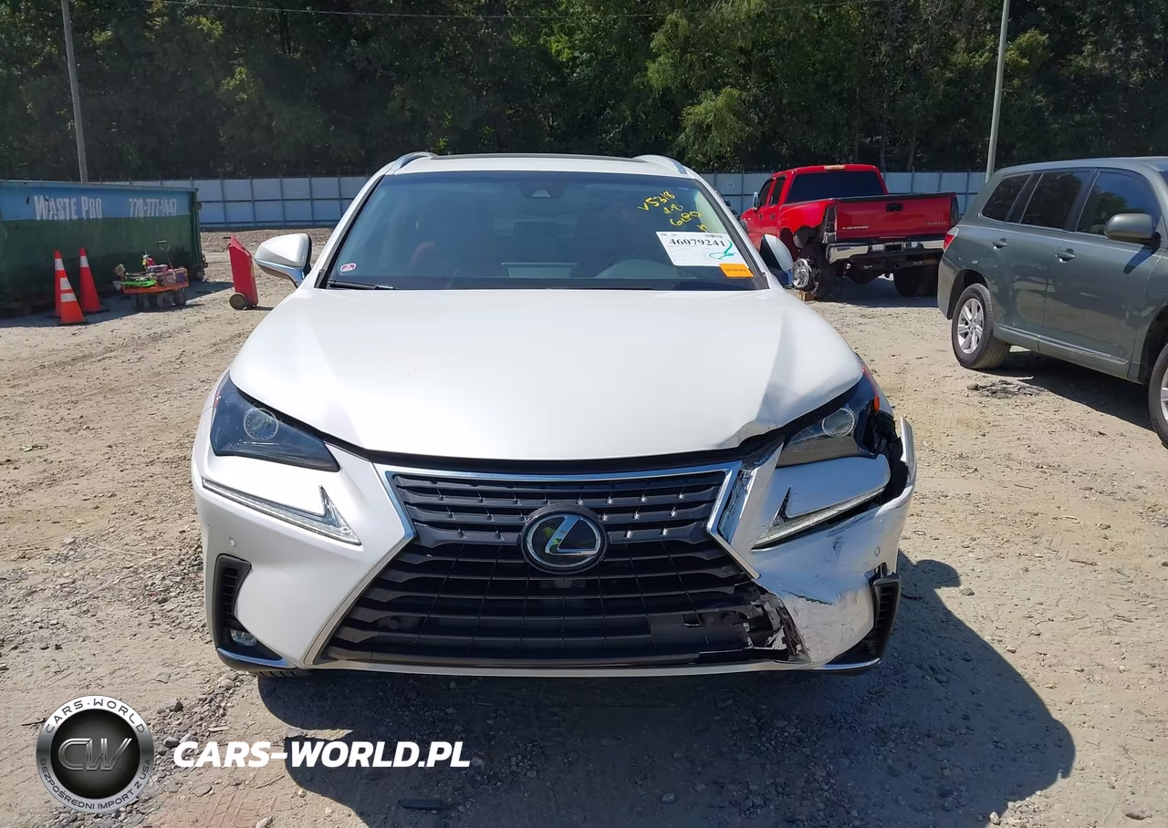 2019 Lexus Nx 300 VIN:JTJYARBZ2K2145318 - 12