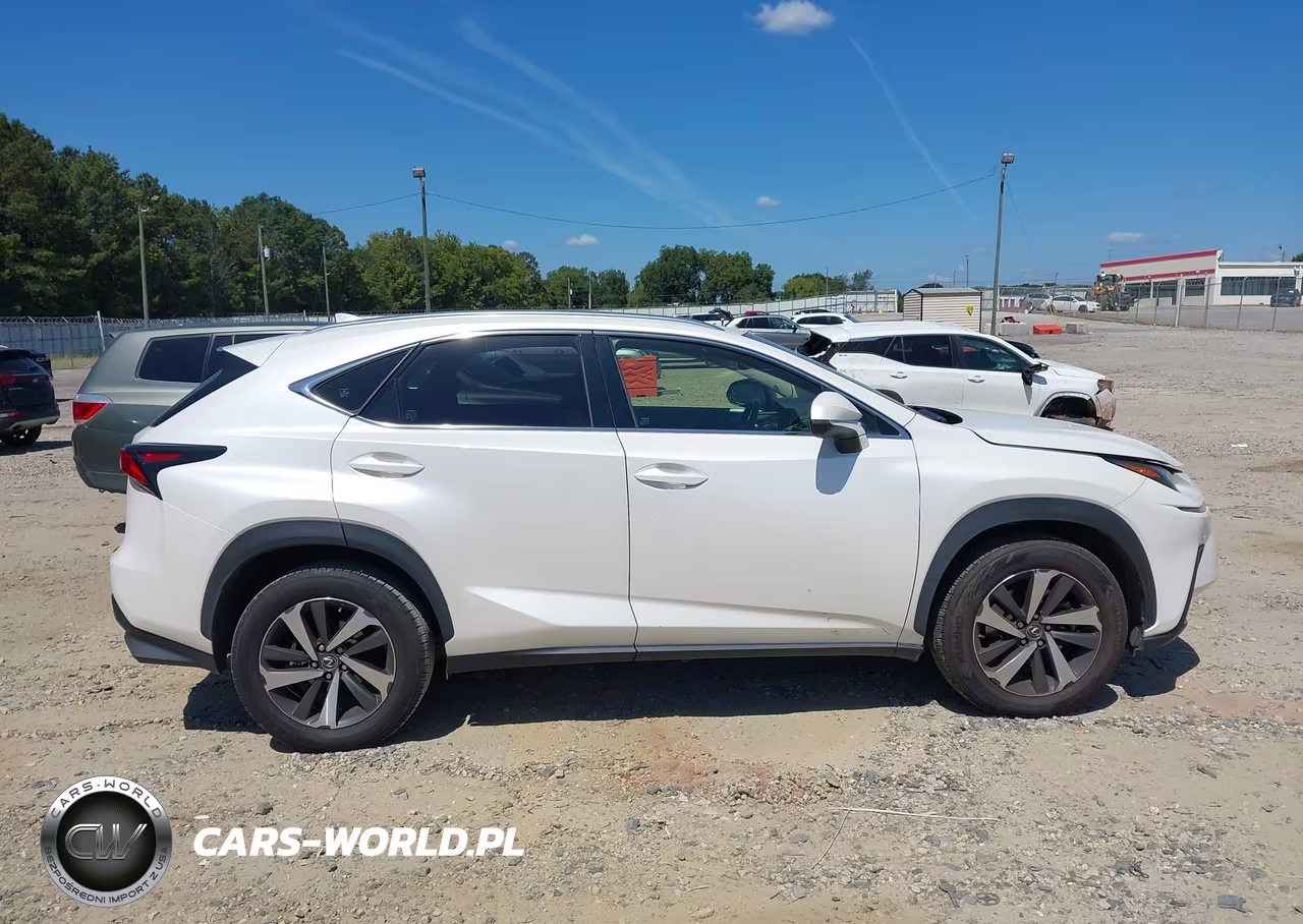 2019 Lexus Nx 300 VIN:JTJYARBZ2K2145318 - 13