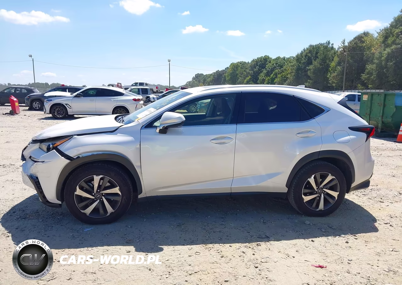 2019 Lexus Nx 300 VIN:JTJYARBZ2K2145318 - 14