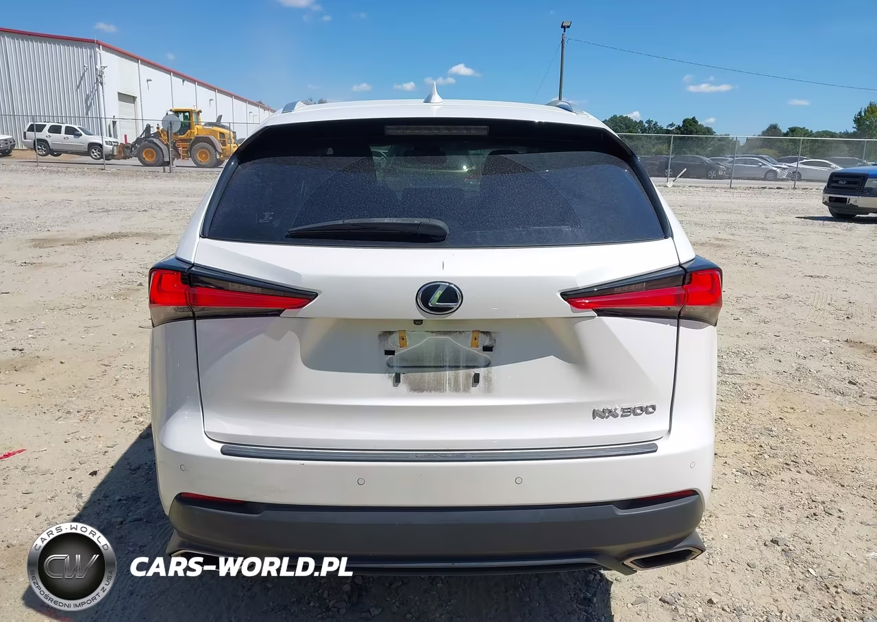 2019 Lexus Nx 300 VIN:JTJYARBZ2K2145318 - 16
