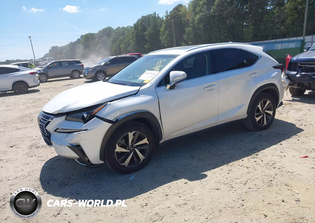 2019 Lexus Nx 300 VIN:JTJYARBZ2K2145318 - 2