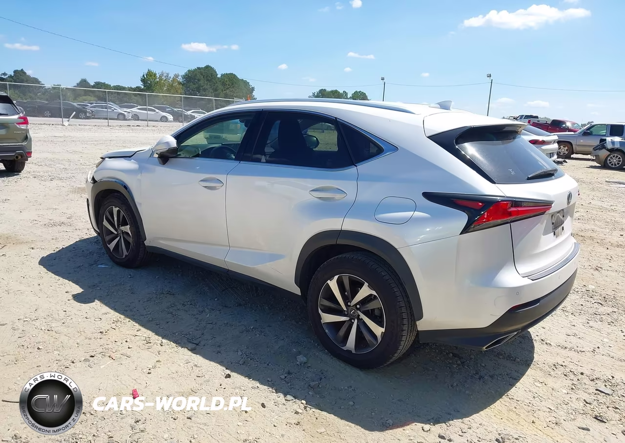 2019 Lexus Nx 300 VIN:JTJYARBZ2K2145318 - 3