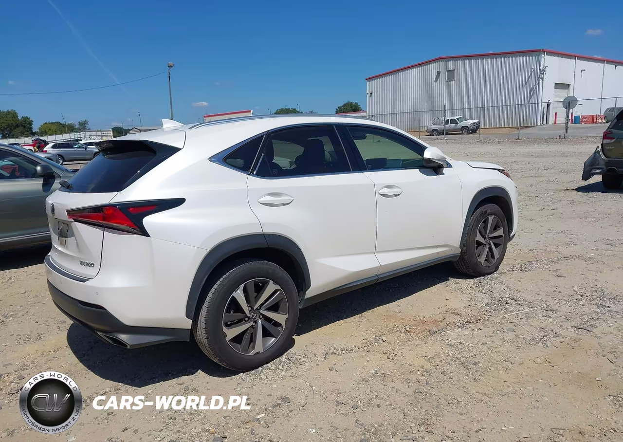 2019 Lexus Nx 300 VIN:JTJYARBZ2K2145318 - 4