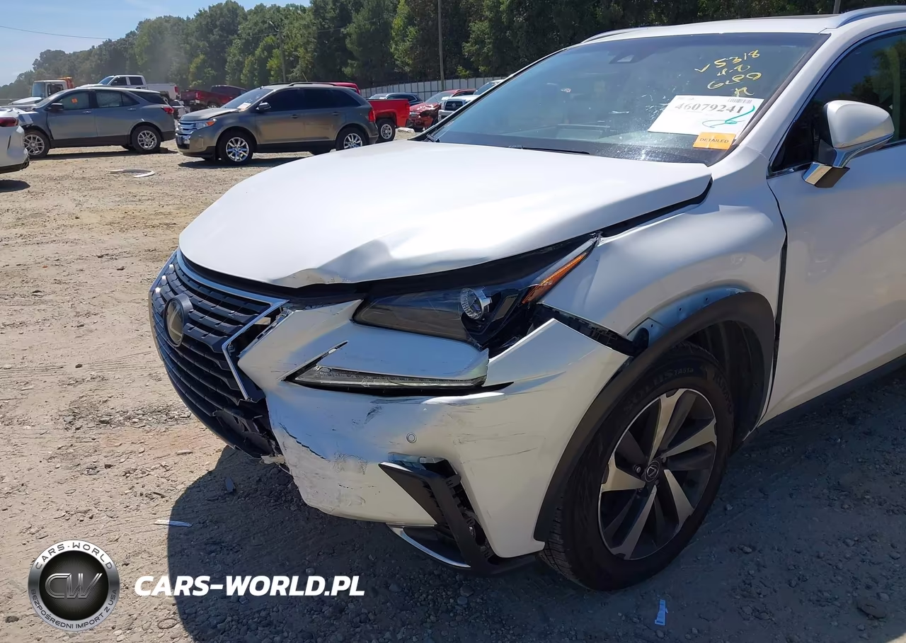 2019 Lexus Nx 300 VIN:JTJYARBZ2K2145318 - 6