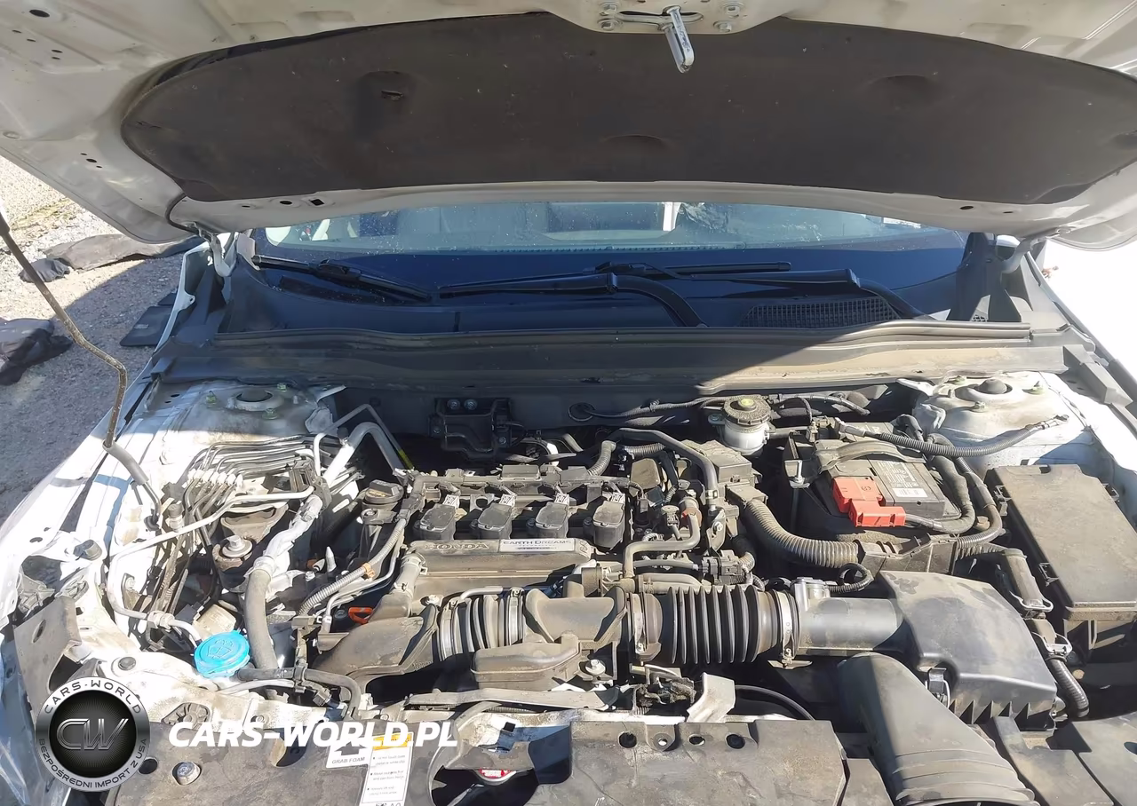 2019 Honda Accord Lx VIN:1HGCV1F19KA006768 - 10