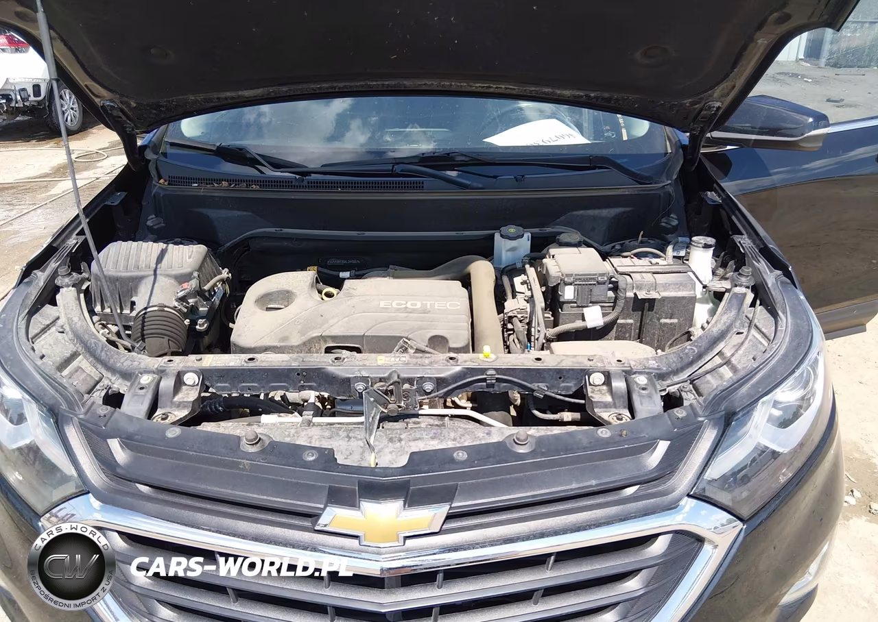 2019 Chevrolet Equinox Lt VIN:3GNAXKEV6KL244801 - 10