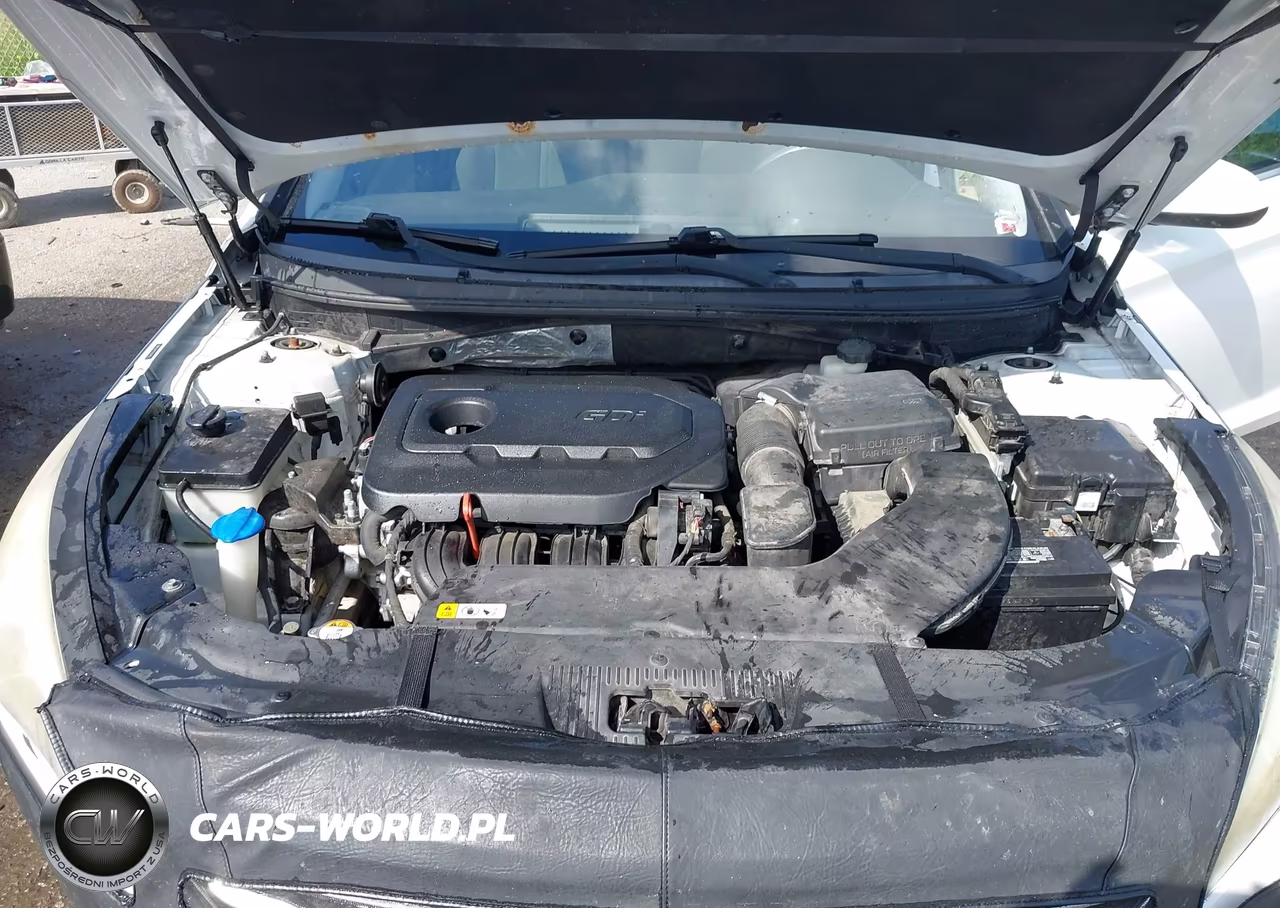 2016 Hyundai Sonata Se VIN:5NPE24AFXGH264012 - 10