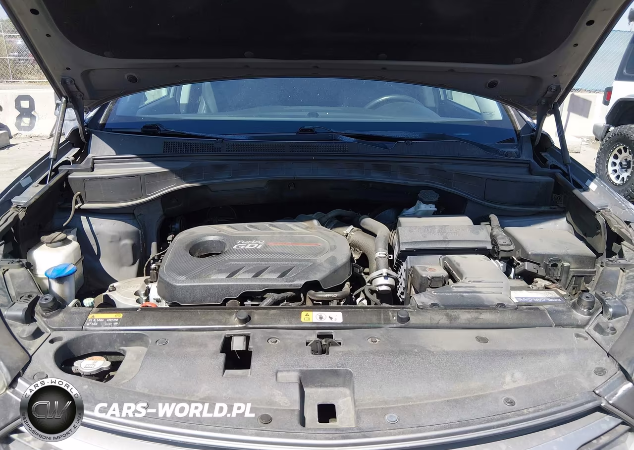 2017 Hyundai Santa Fe Sport 2.0T Ultimate VIN:5XYZW4LA8HG398064 - 10