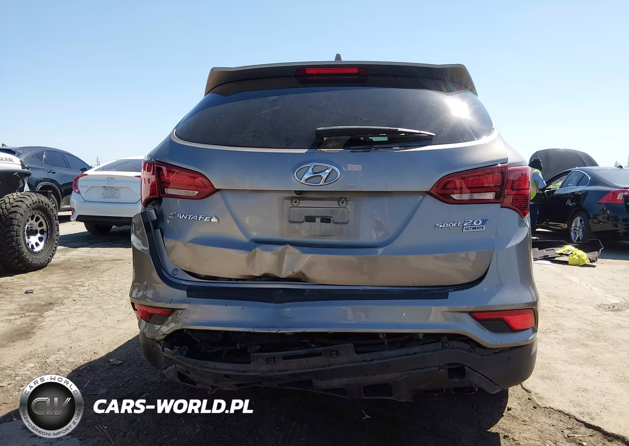 2017 Hyundai Santa Fe Sport 2.0T Ultimate VIN:5XYZW4LA8HG398064 - 6