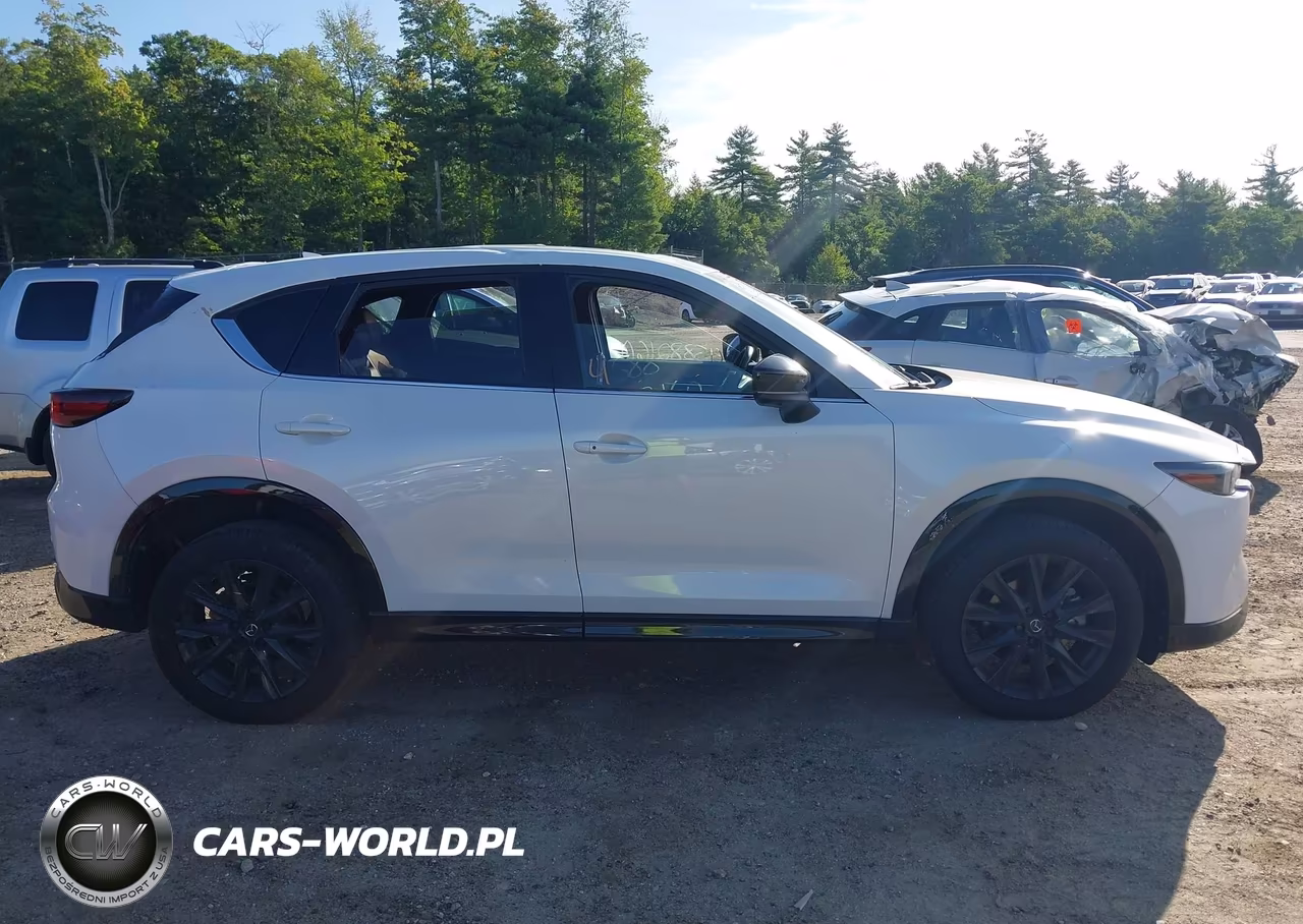 2025 Mazda Cx-5 2.5 Carbon Turbo VIN:JM3KFBAY3S0560001 - 13