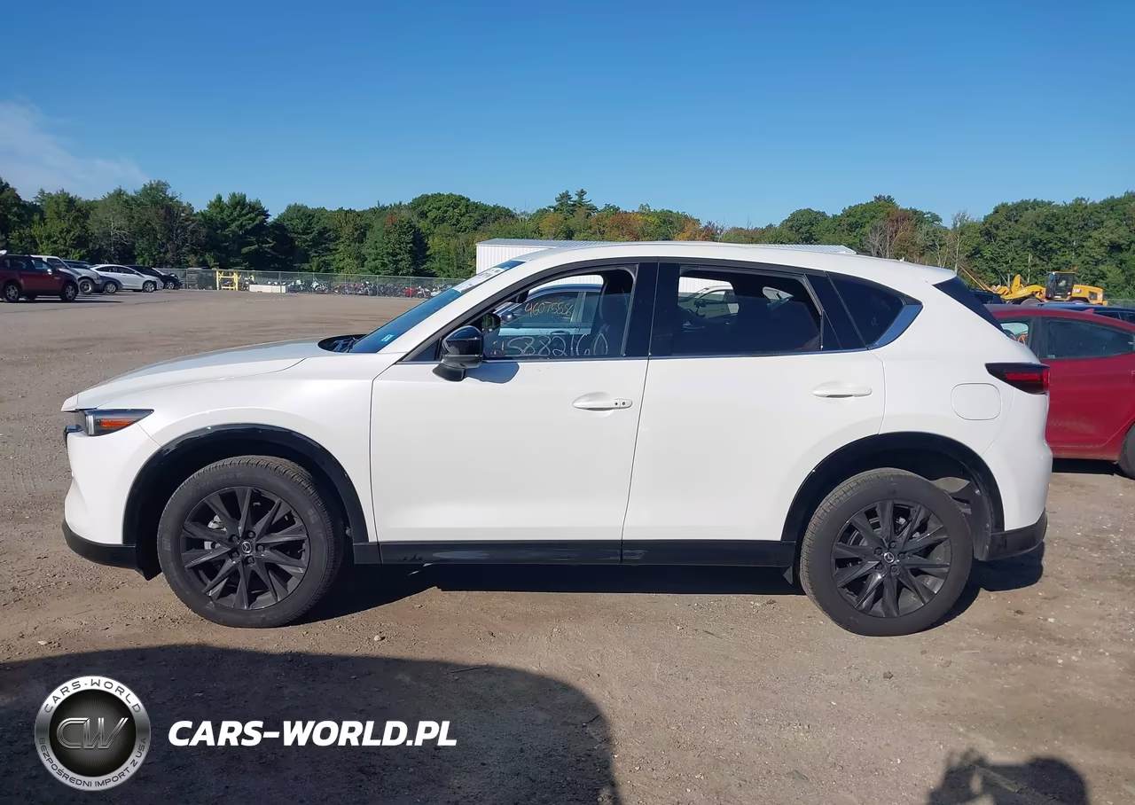 2025 Mazda Cx-5 2.5 Carbon Turbo VIN:JM3KFBAY3S0560001 - 14