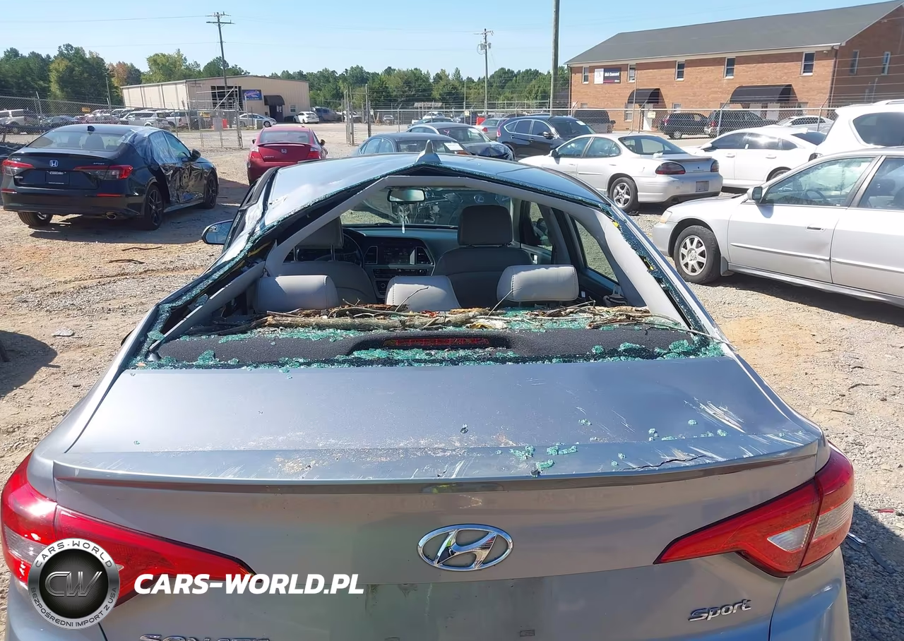 2016 Hyundai Sonata Sport VIN:5NPE34AF0GH378131 - 6