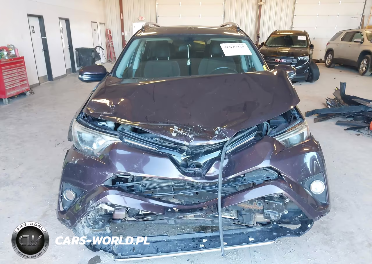 2016 Toyota Rav4 Xle VIN:2T3RFREV2GW486766 - 12