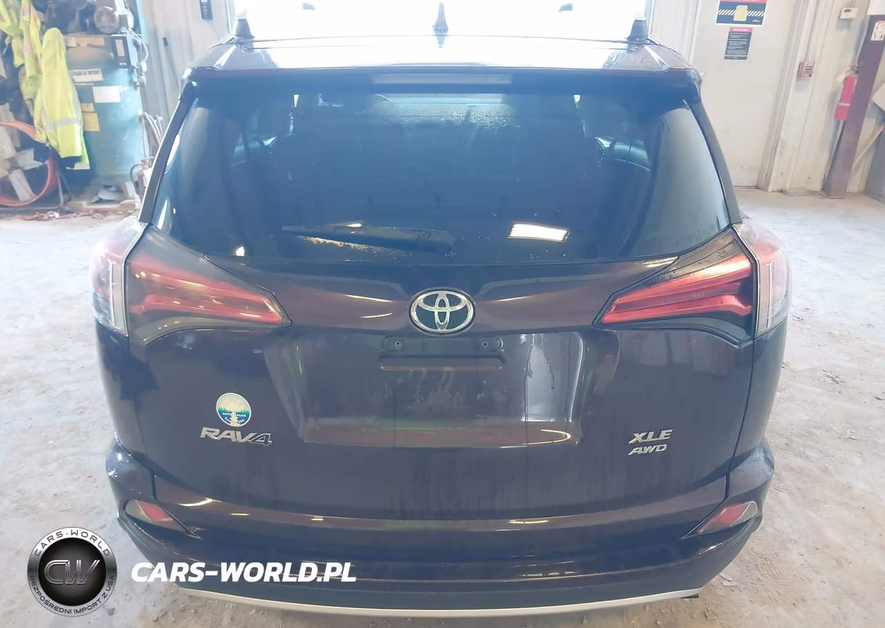 2016 Toyota Rav4 Xle VIN:2T3RFREV2GW486766 - 16