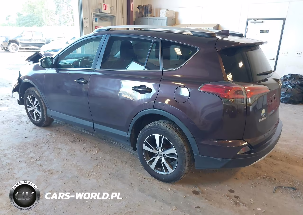 2016 Toyota Rav4 Xle VIN:2T3RFREV2GW486766 - 3