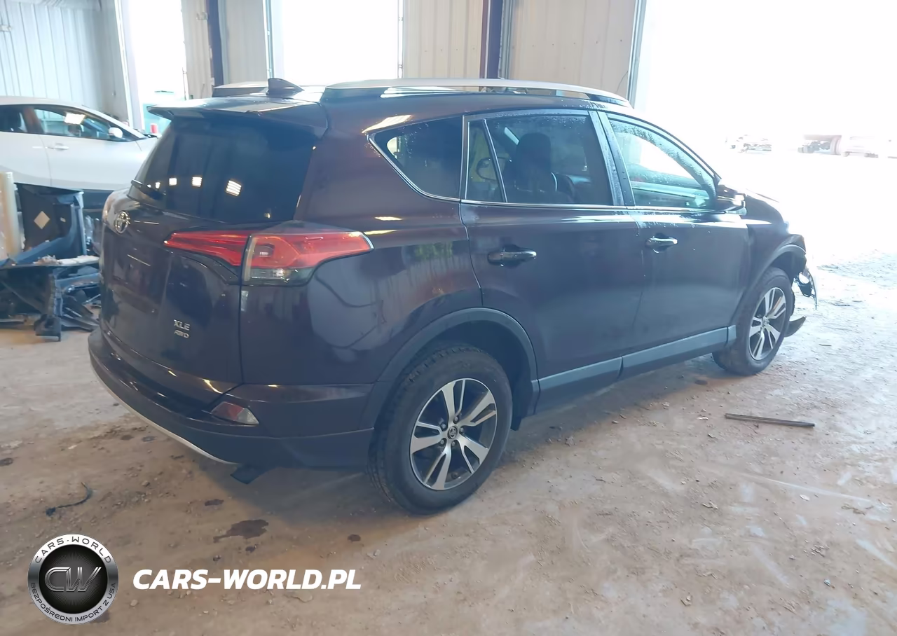 2016 Toyota Rav4 Xle VIN:2T3RFREV2GW486766 - 4