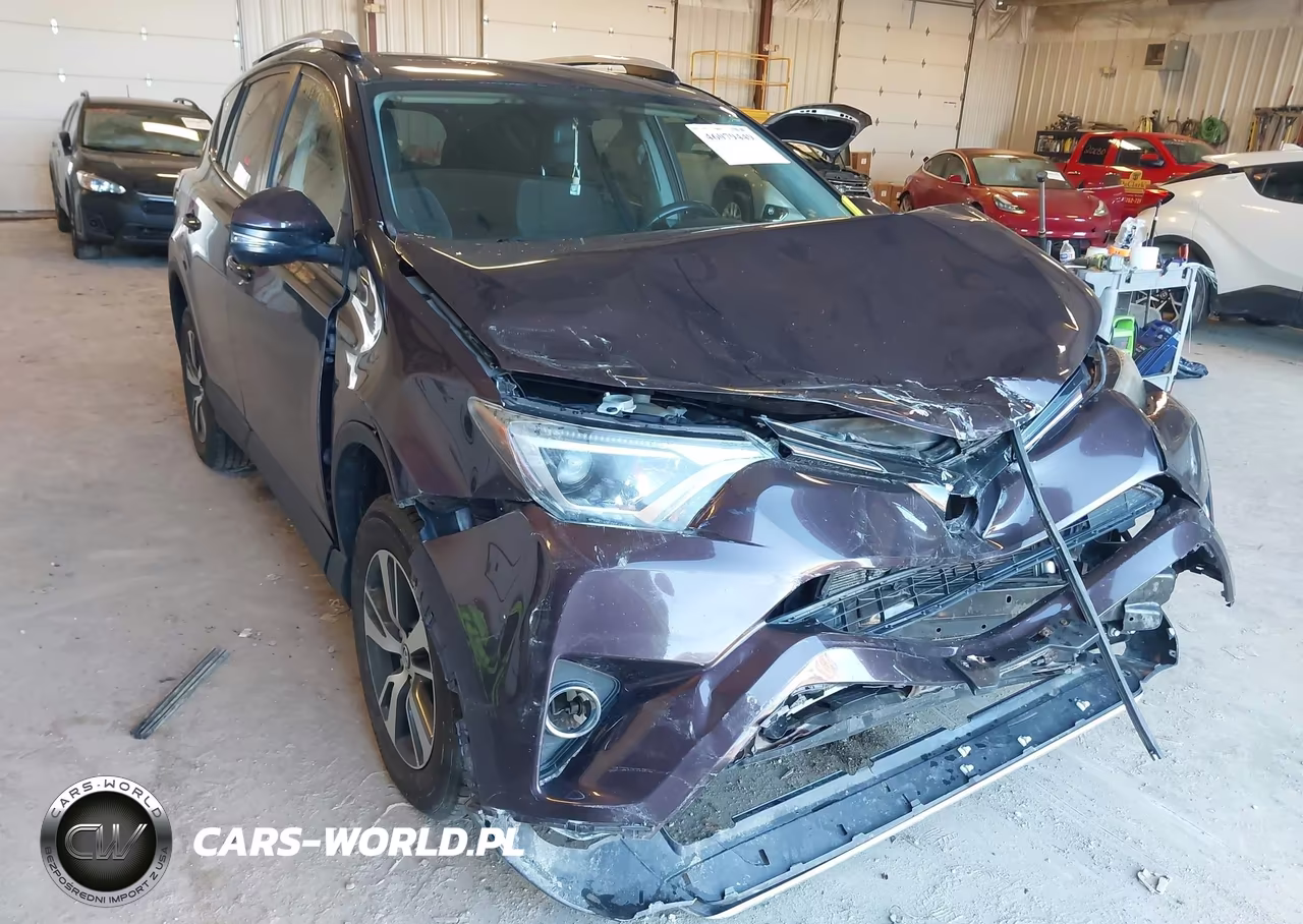 2016 Toyota Rav4 Xle VIN:2T3RFREV2GW486766 - 6
