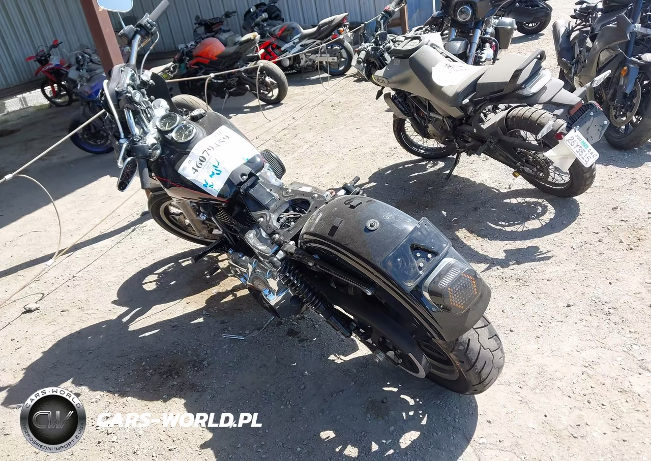 2015 Harley-Davidson Fxdl Dyna Low Rider VIN:1HD1GNM16FC316900 - 3