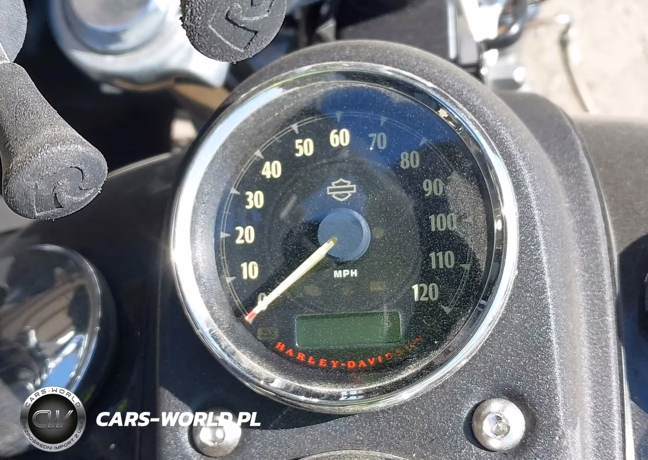 2015 Harley-Davidson Fxdl Dyna Low Rider VIN:1HD1GNM16FC316900 - 7