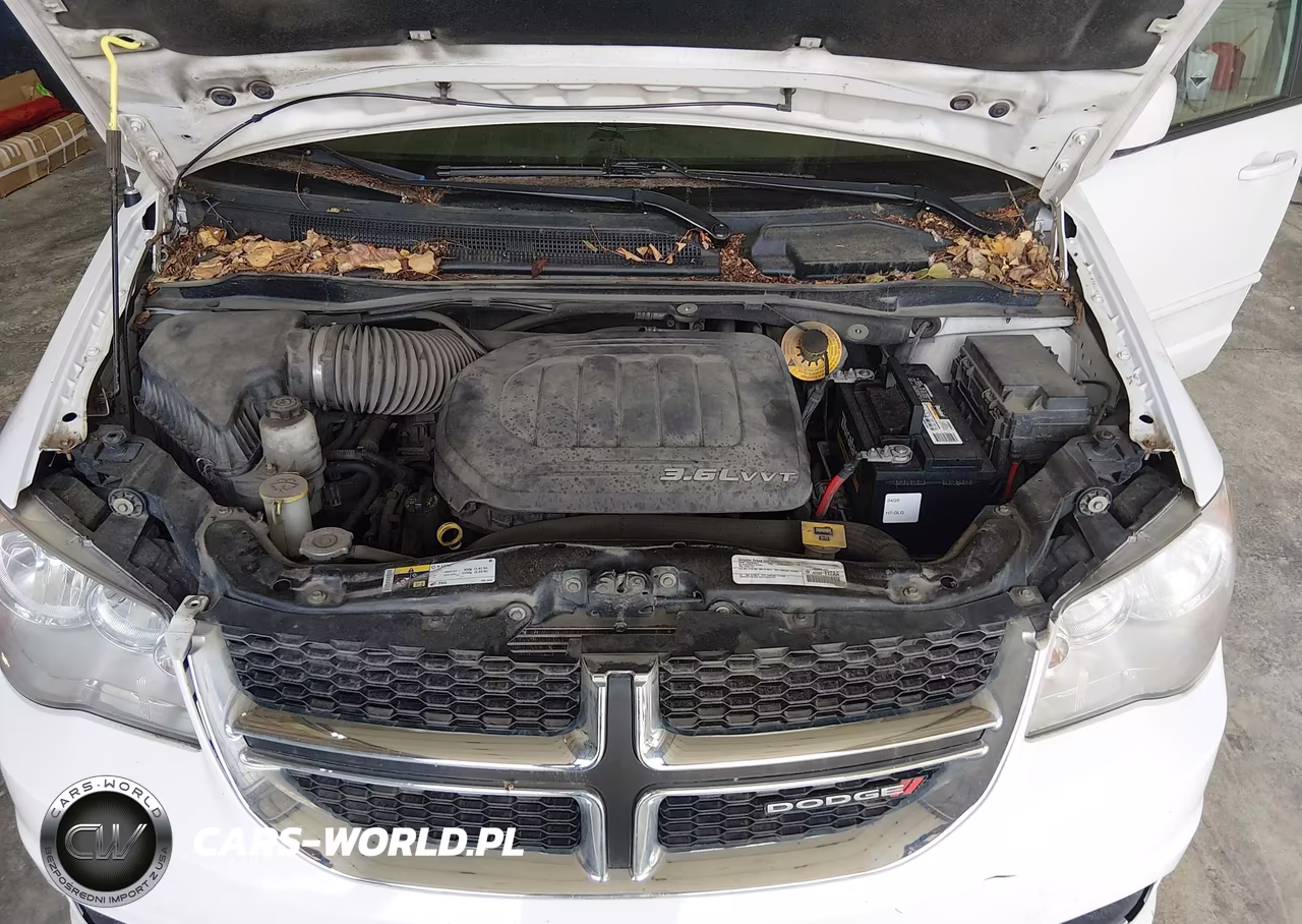 2015 Dodge Grand Caravan Sxt VIN:2C4RDGCG0FR557065 - 10