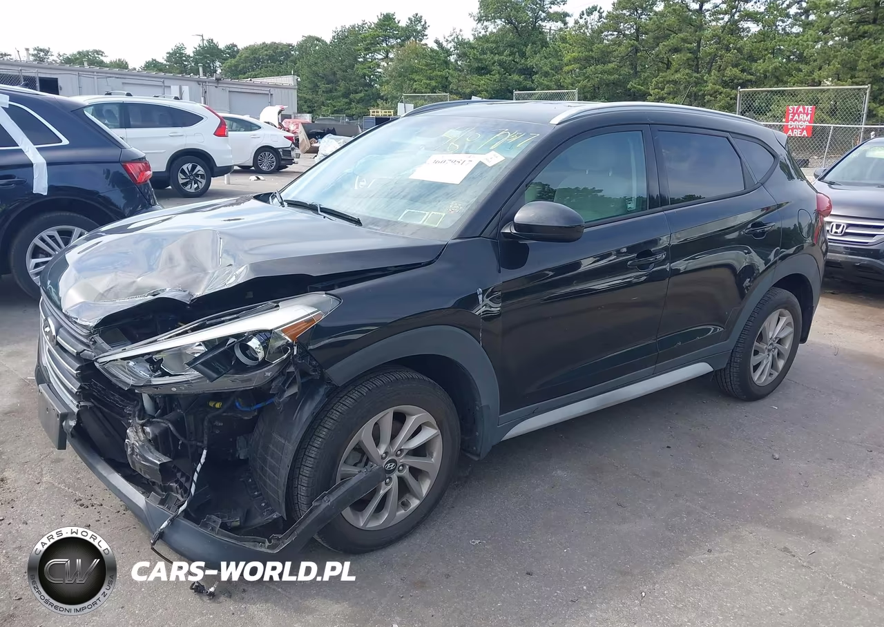 2017 Hyundai Tucson Se VIN:KM8J3CA45HU446692 - 2