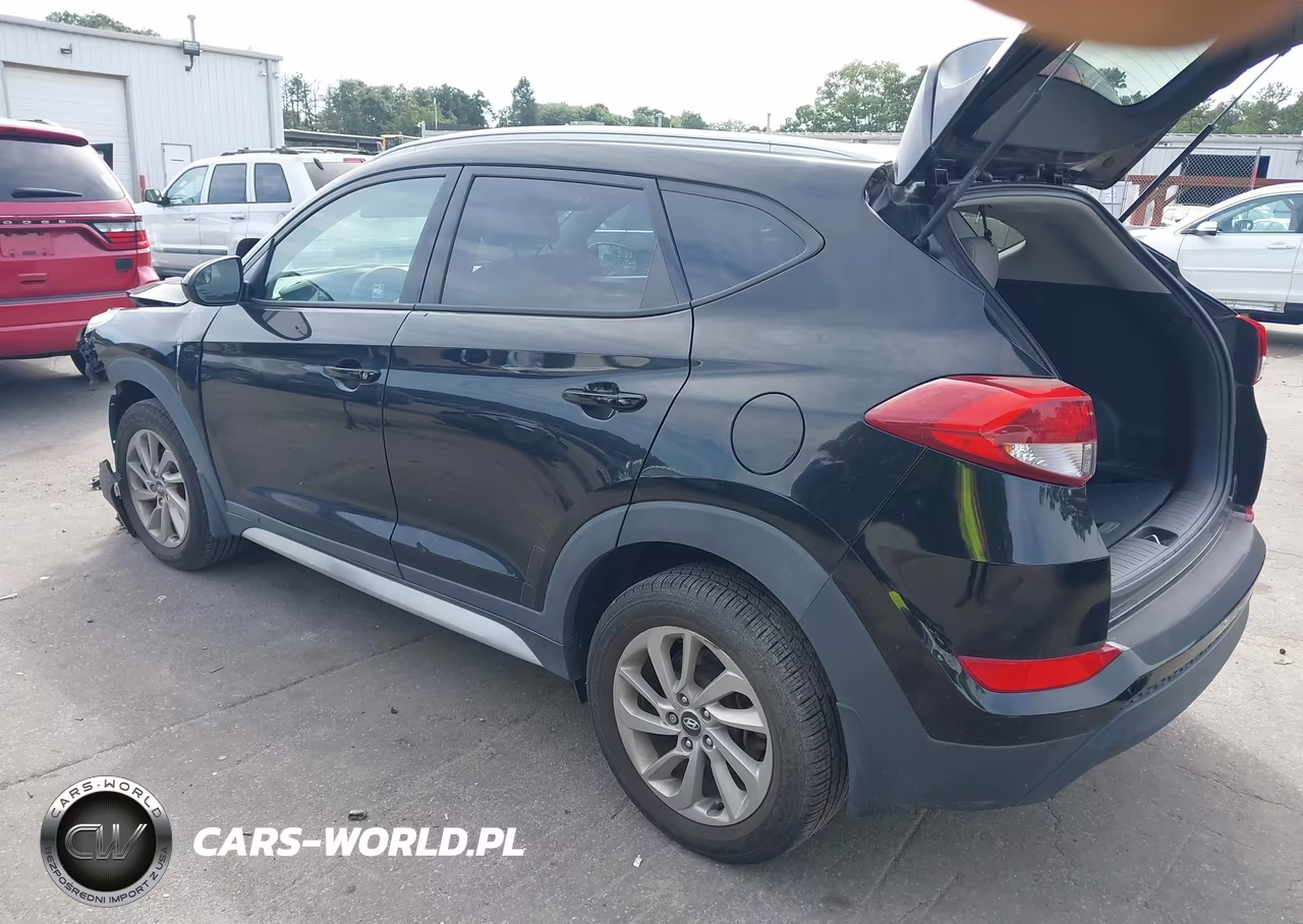 2017 Hyundai Tucson Se VIN:KM8J3CA45HU446692 - 3