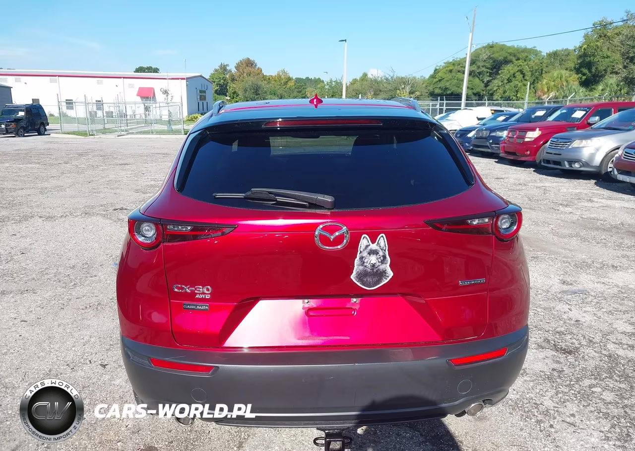 2021 Mazda Cx-30 Premium VIN:3MVDMBDL1MM314554 - 16