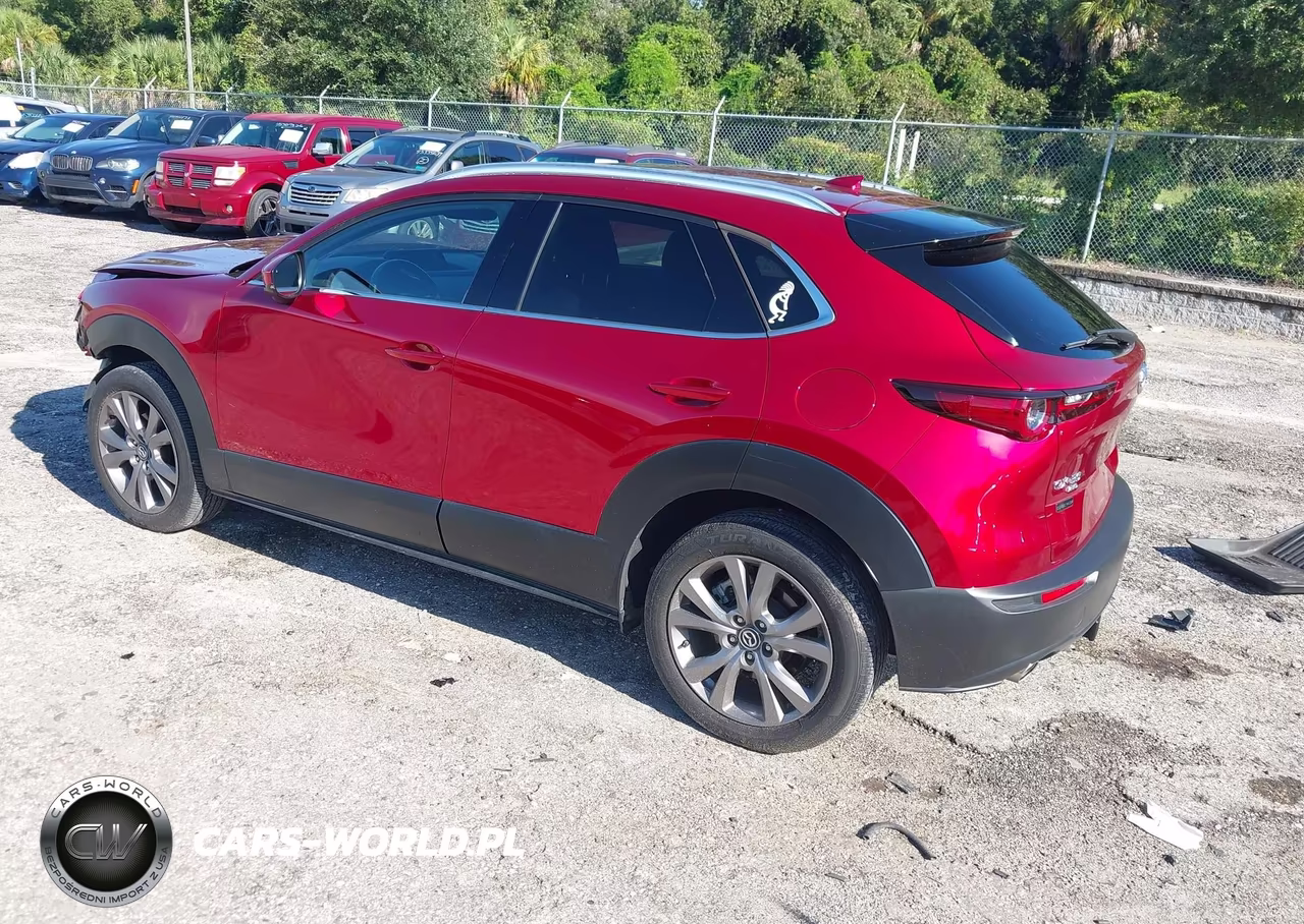2021 Mazda Cx-30 Premium VIN:3MVDMBDL1MM314554 - 3
