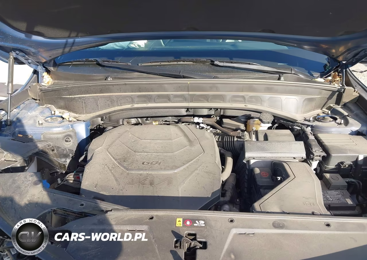 2025 Kia Telluride S VIN:5XYP64GC8SG591552 - 10