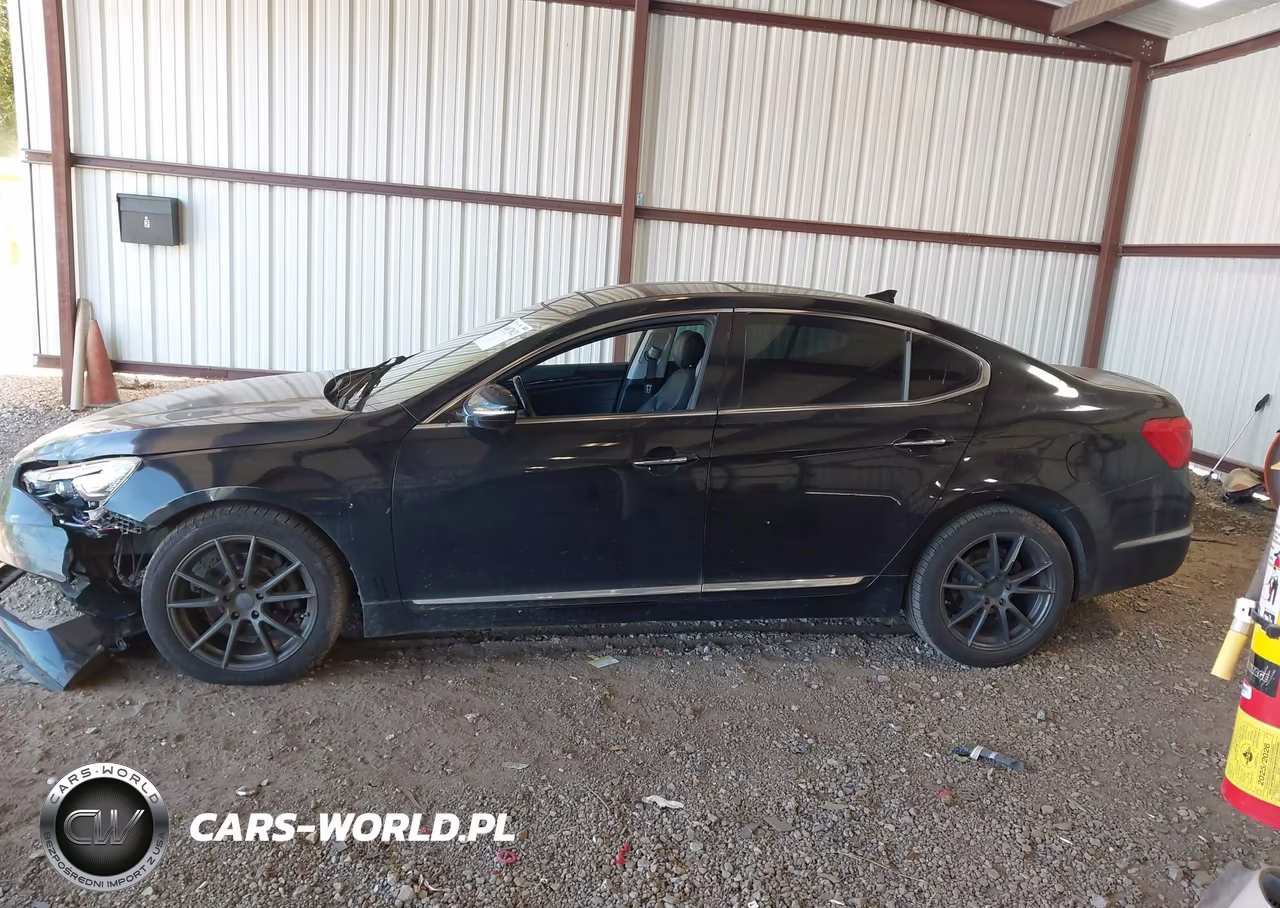 2015 Kia Cadenza Premium VIN:KNALN4D71F5189599 - 14