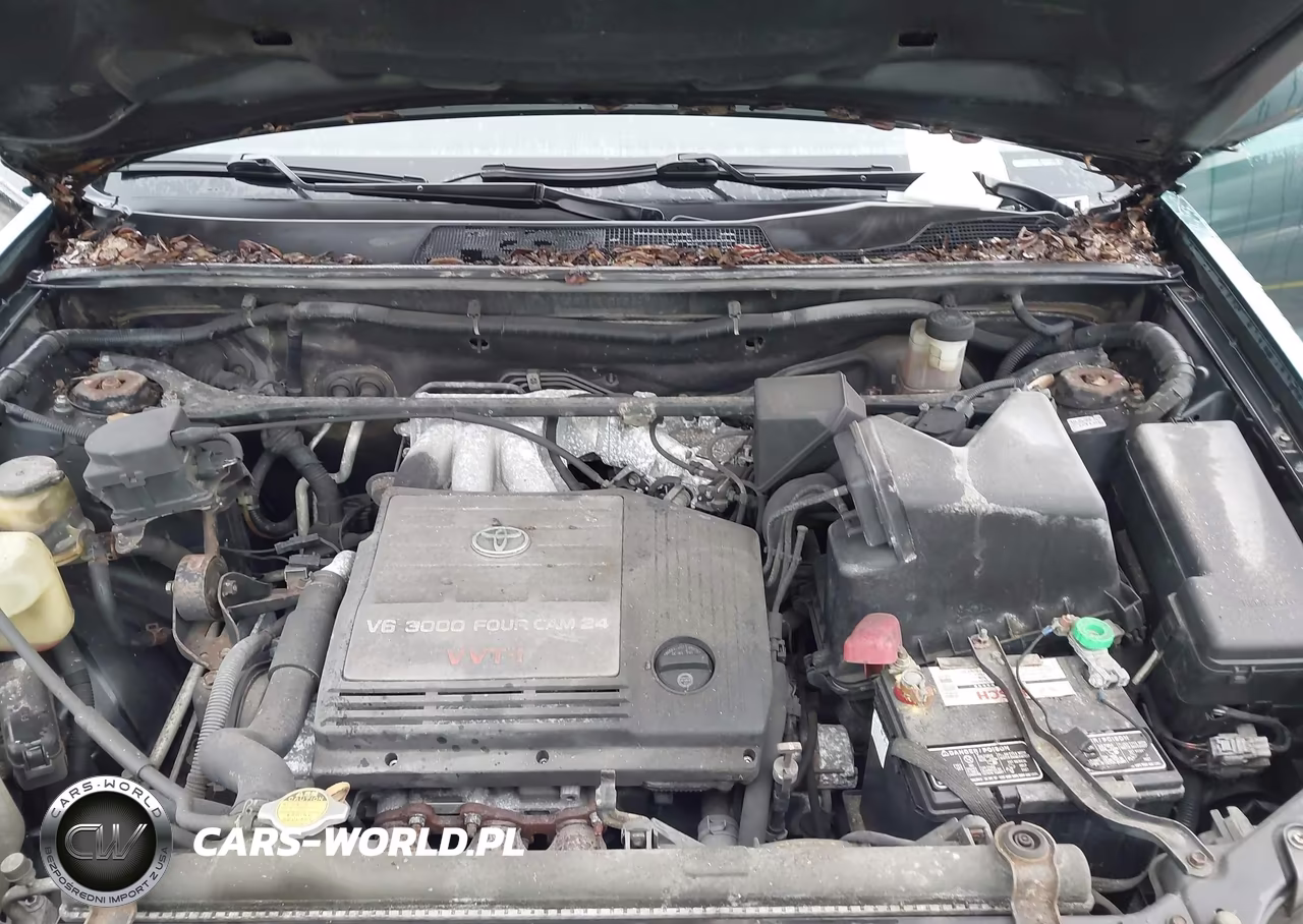 2001 Toyota Highlander V6 VIN:JTEGF21A010003090 - 10