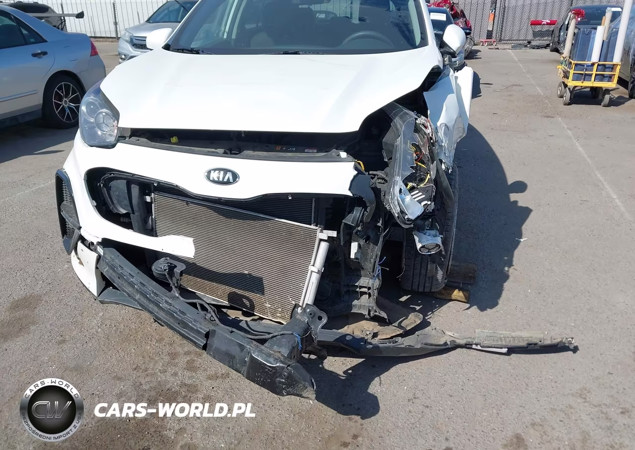 2020 Kia Sportage Lx VIN:KNDPM3AC9L7687763 - 6