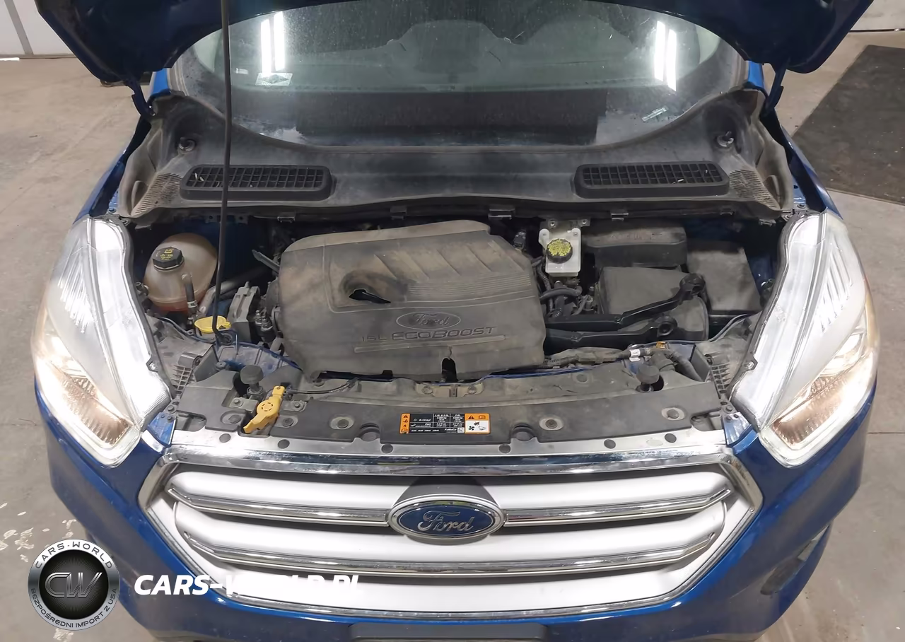 2017 Ford Escape Se VIN:1FMCU0GD9HUA39079 - 10